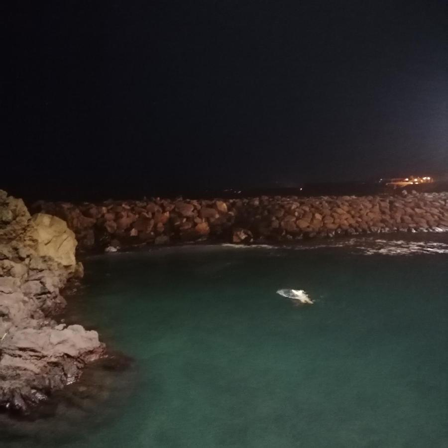 São Vicente Ferreira Espaco Roteiro De Mimos מראה חיצוני תמונה