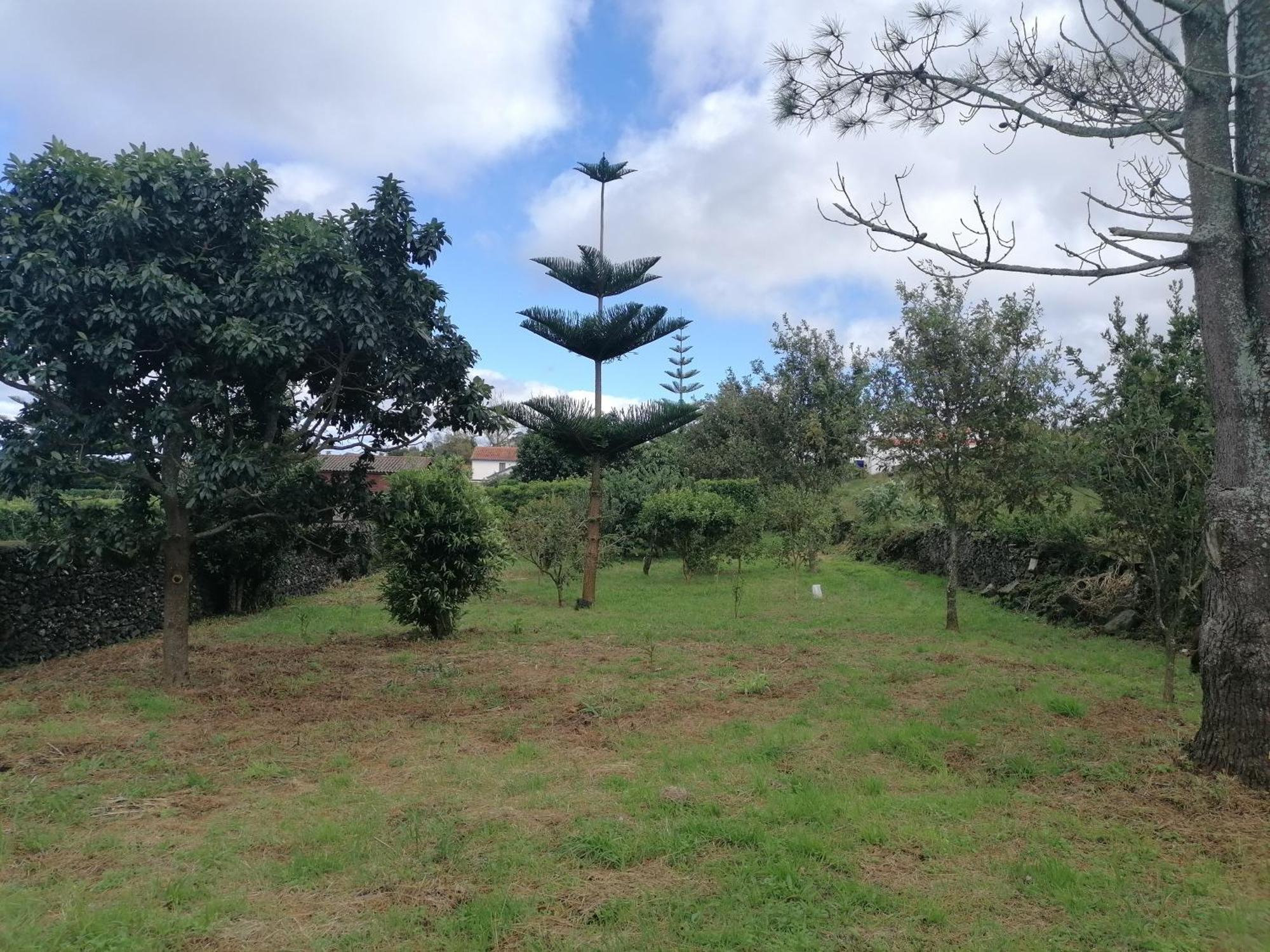 São Vicente Ferreira Espaco Roteiro De Mimos מראה חיצוני תמונה